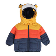 Boys Multicolor Pack Of 1 Jacket