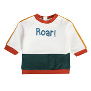 Boys Pink Sweat Shirt