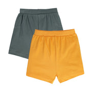 Boys Multicolor Pack Of 2 Shorts