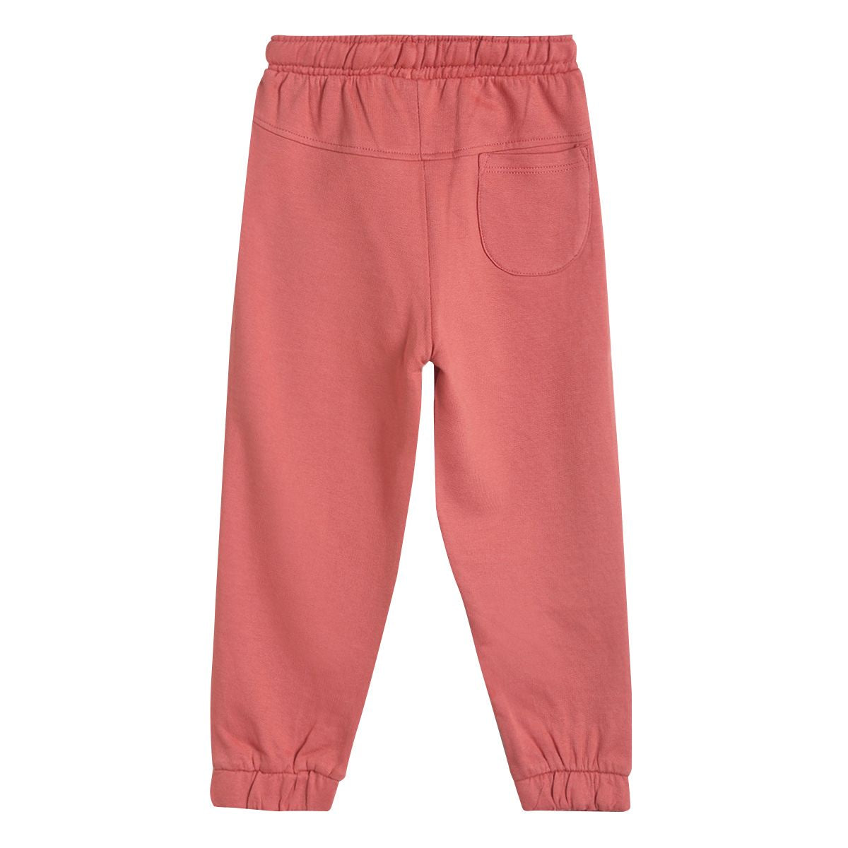 Boys Rust Pack Of 1 Jogger