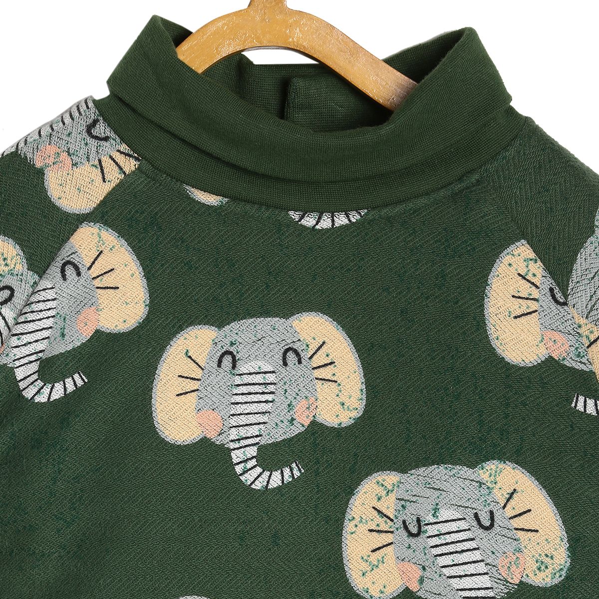 Boys Green Pack Of 1 Sweat Shirt