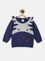 Boys Navy Pack Of 1 Sweater