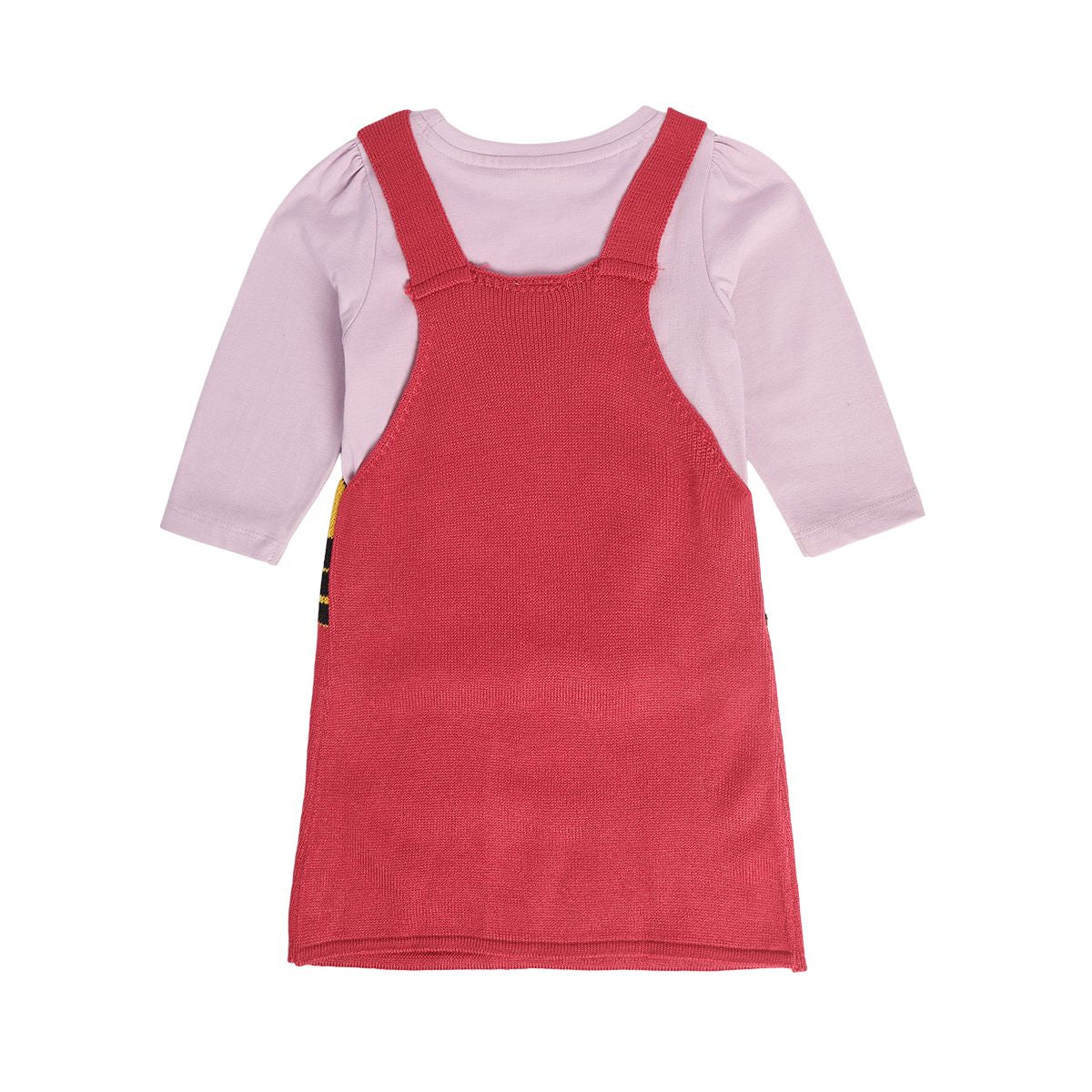 Girls Multicolor Pack Of 2 Pinny Set