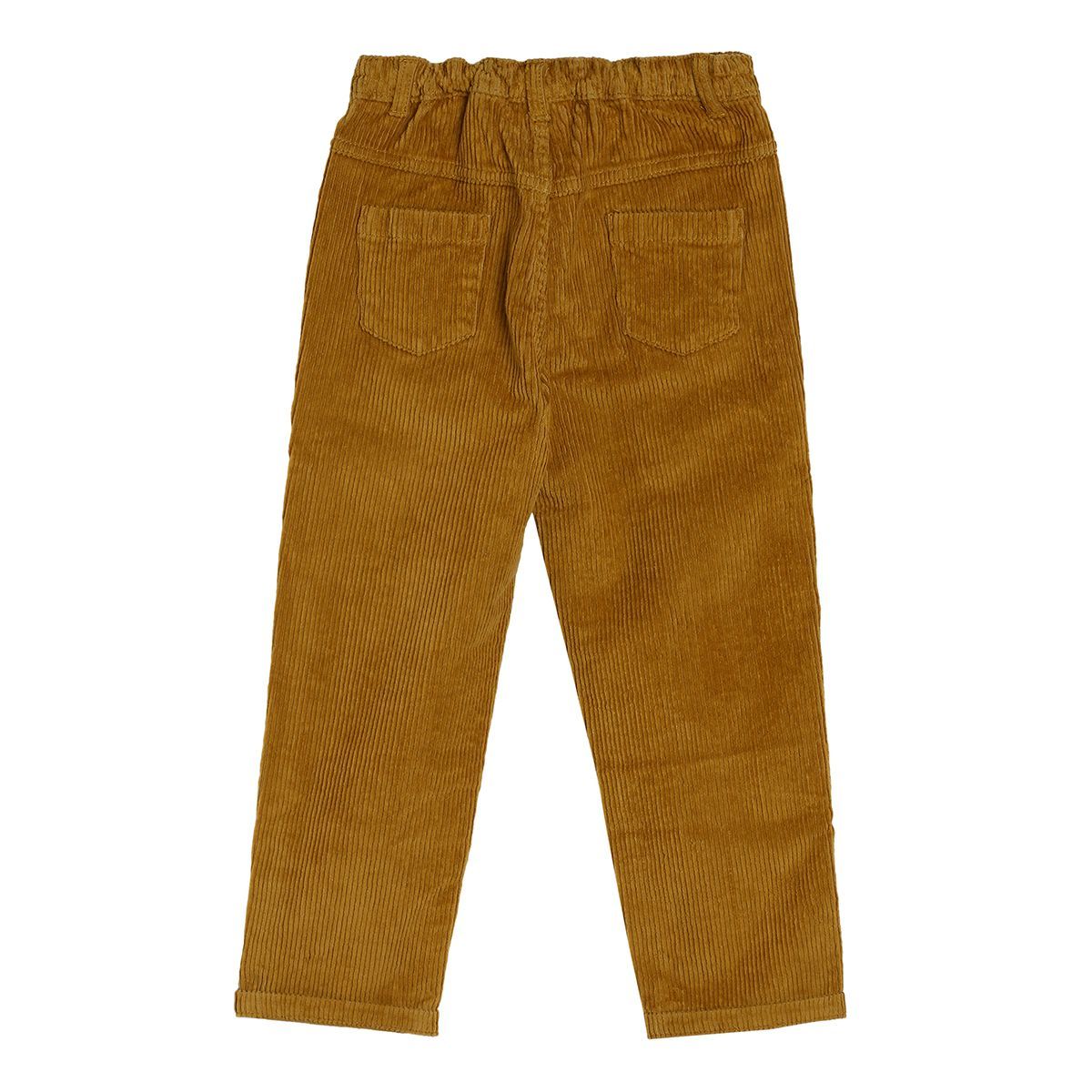 Boys Brown Pack Of 1 Woven Pant