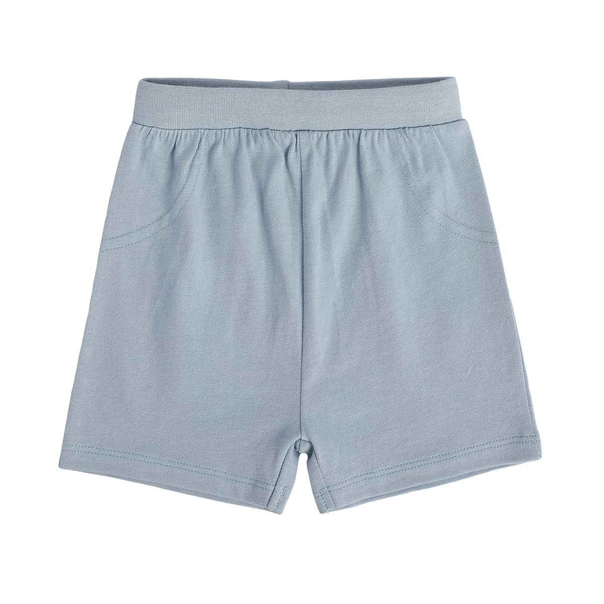 Boys Multicolor Pack Of 2 Shorts