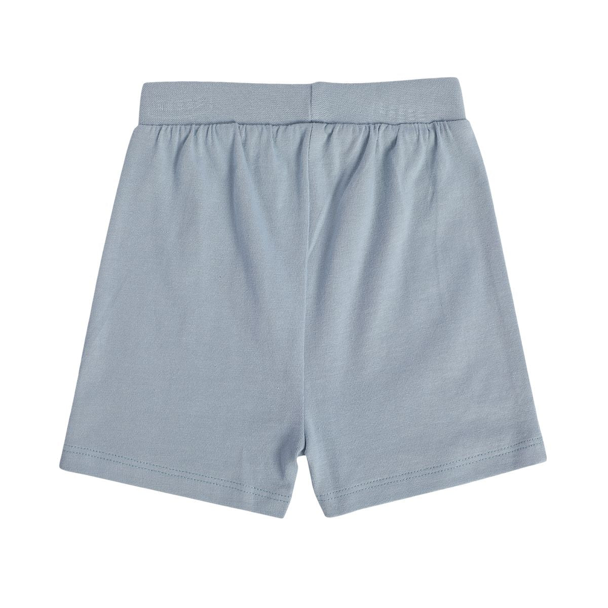 Boys Multicolor Pack Of 2 Shorts