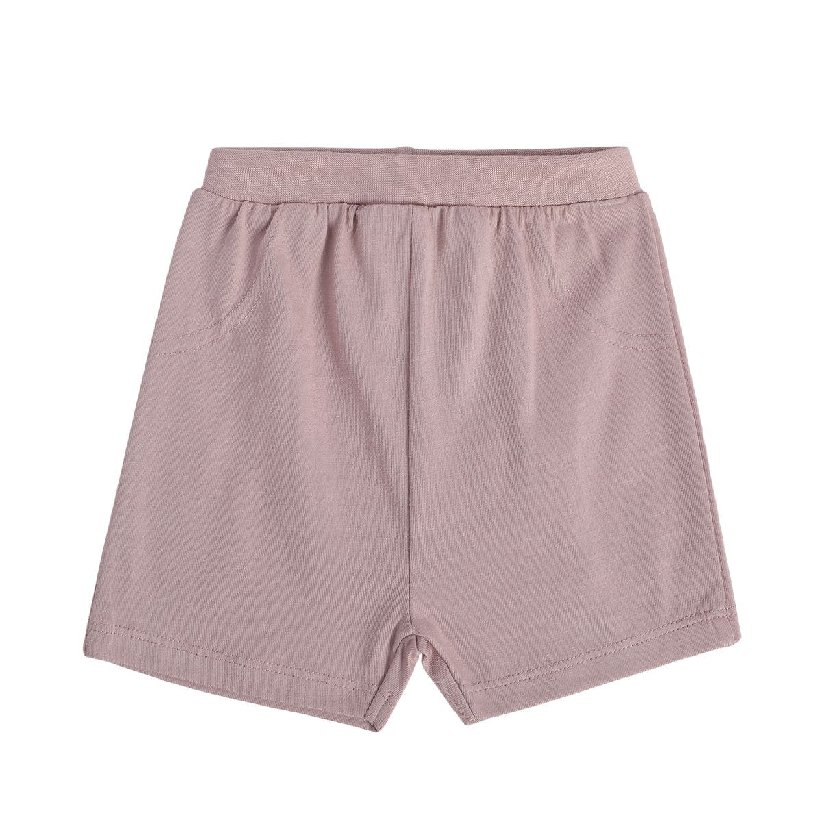 Boys Multicolor Pack Of 2 Shorts