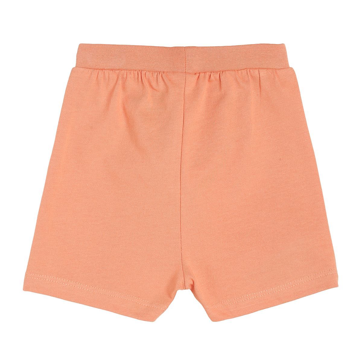 Boys Multicolor Pack Of 3 Shorts