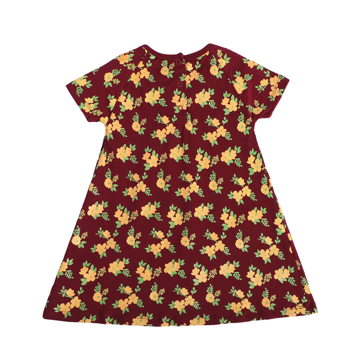 Girls Multicolor Pack Of 2 Dress