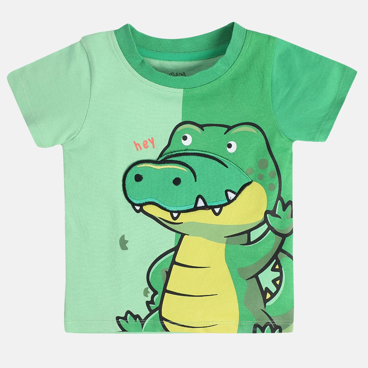 Boys Green Pack Of 1 T-Shirt