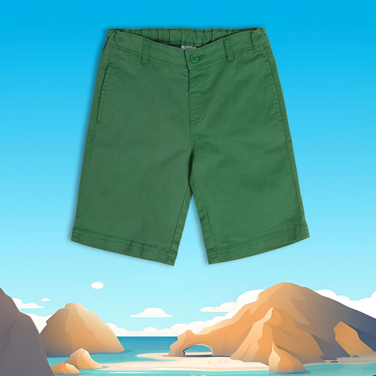 Boys Green Pack Of 1 Shorts