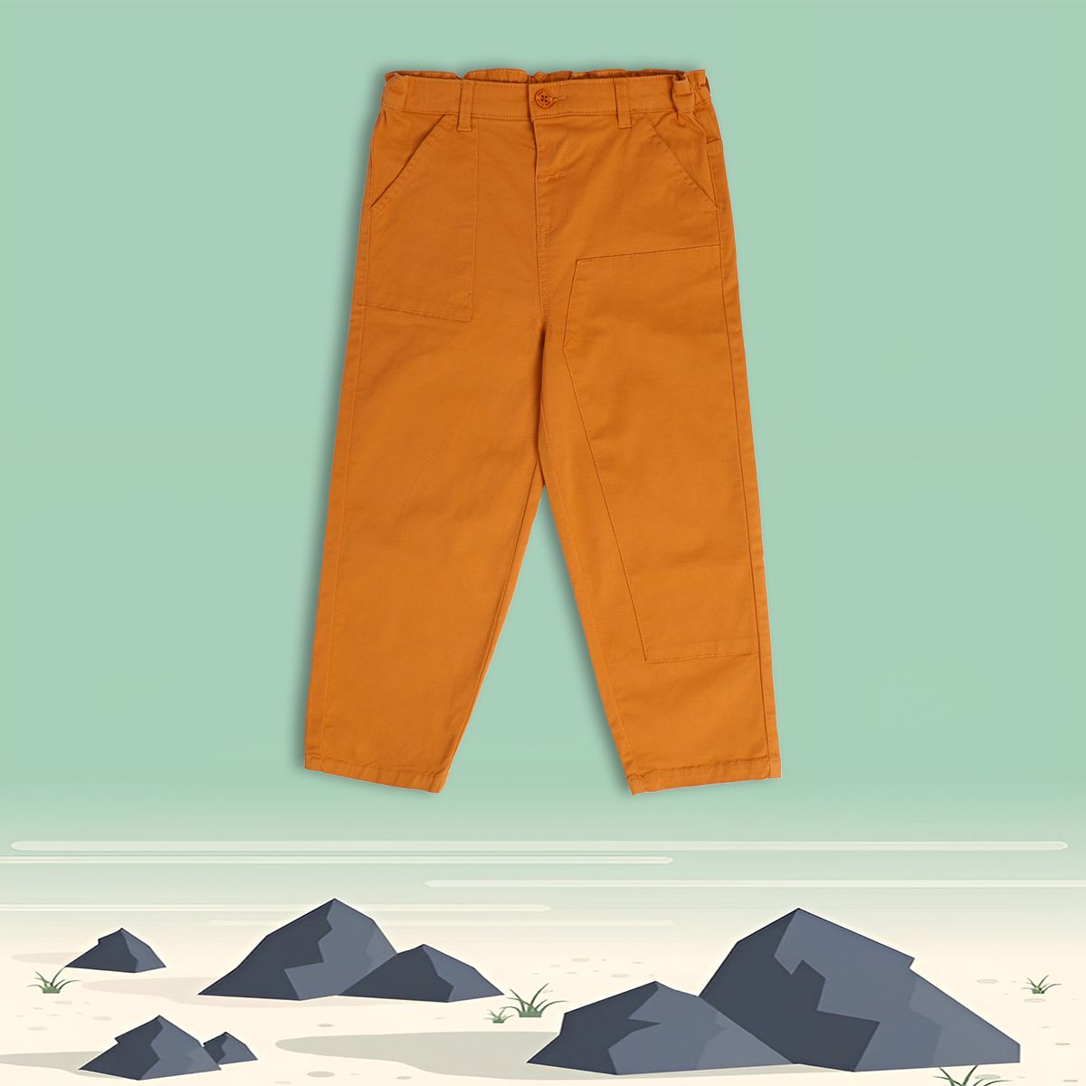 Boys Brown Pack Of 1 Woven Pant