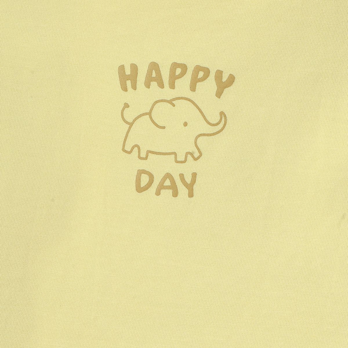 Boys Multicolor Pack Of 2 T-Shirt