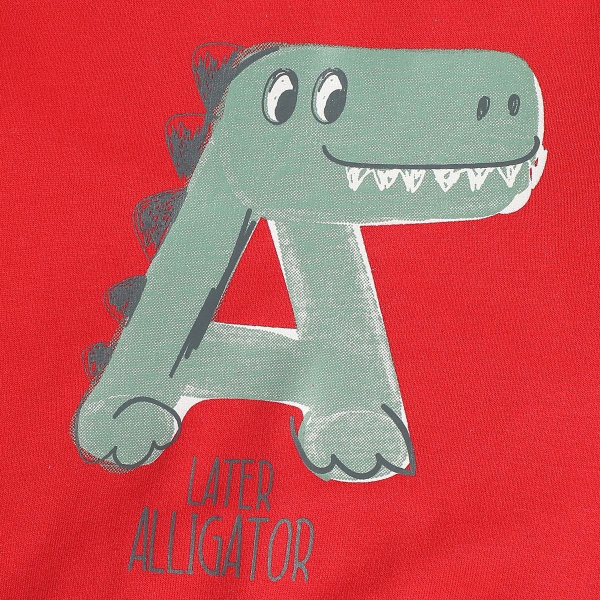 Boys Red Sweat Shirt