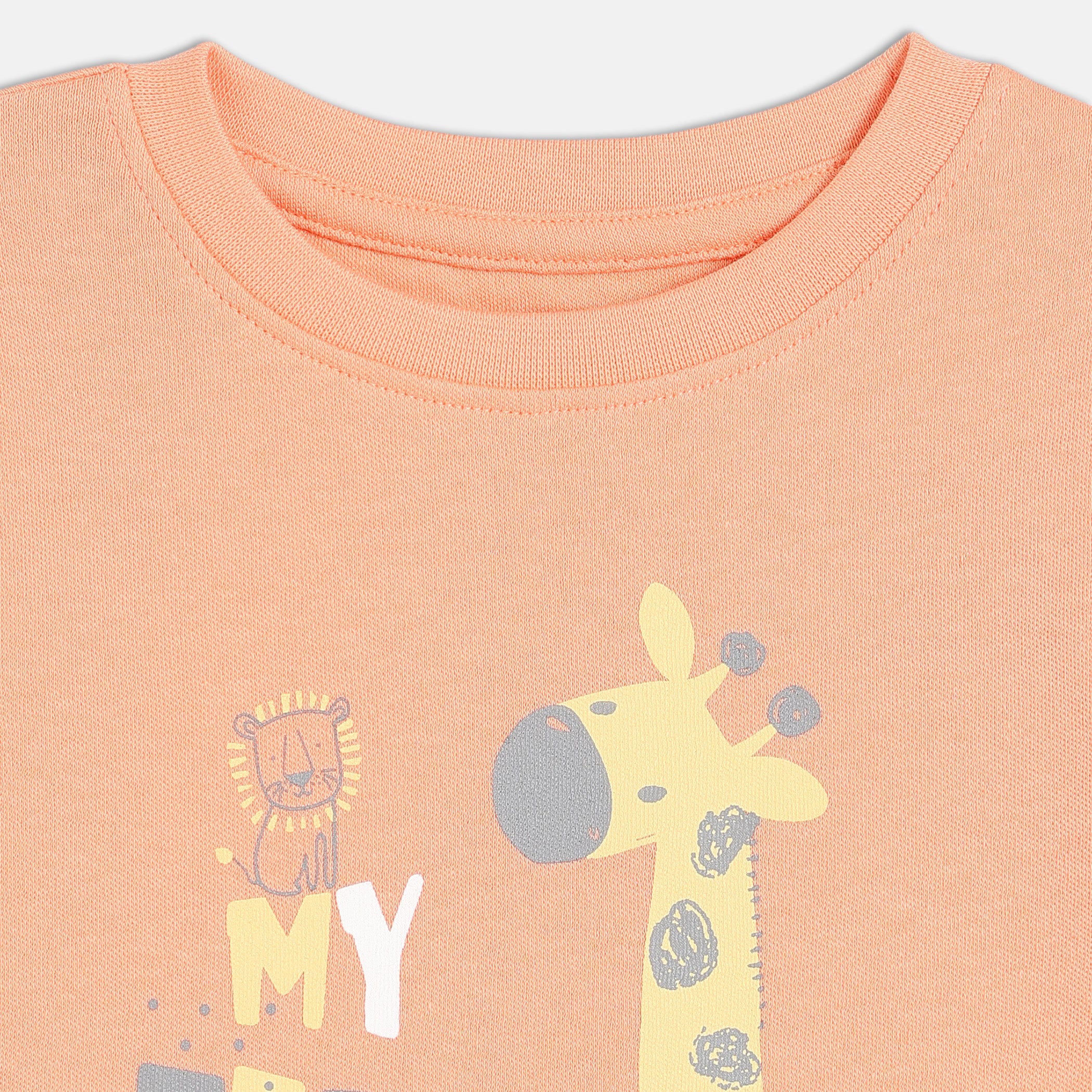 Boy Multi T-Shirt