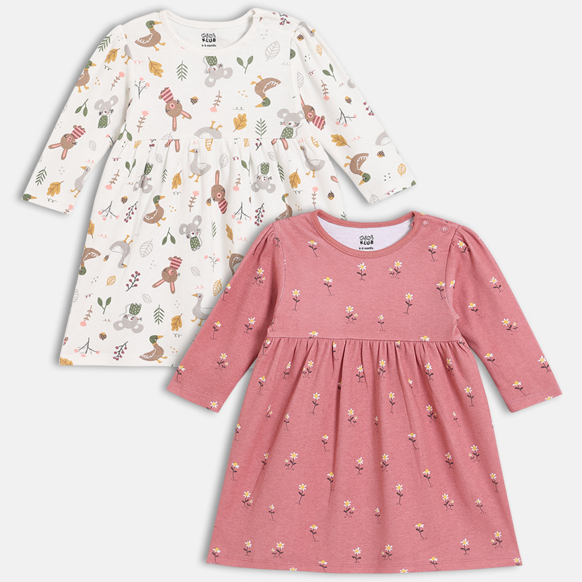 Girls Pack Of 2 Round Neck Full Sleeve Dress - Multi