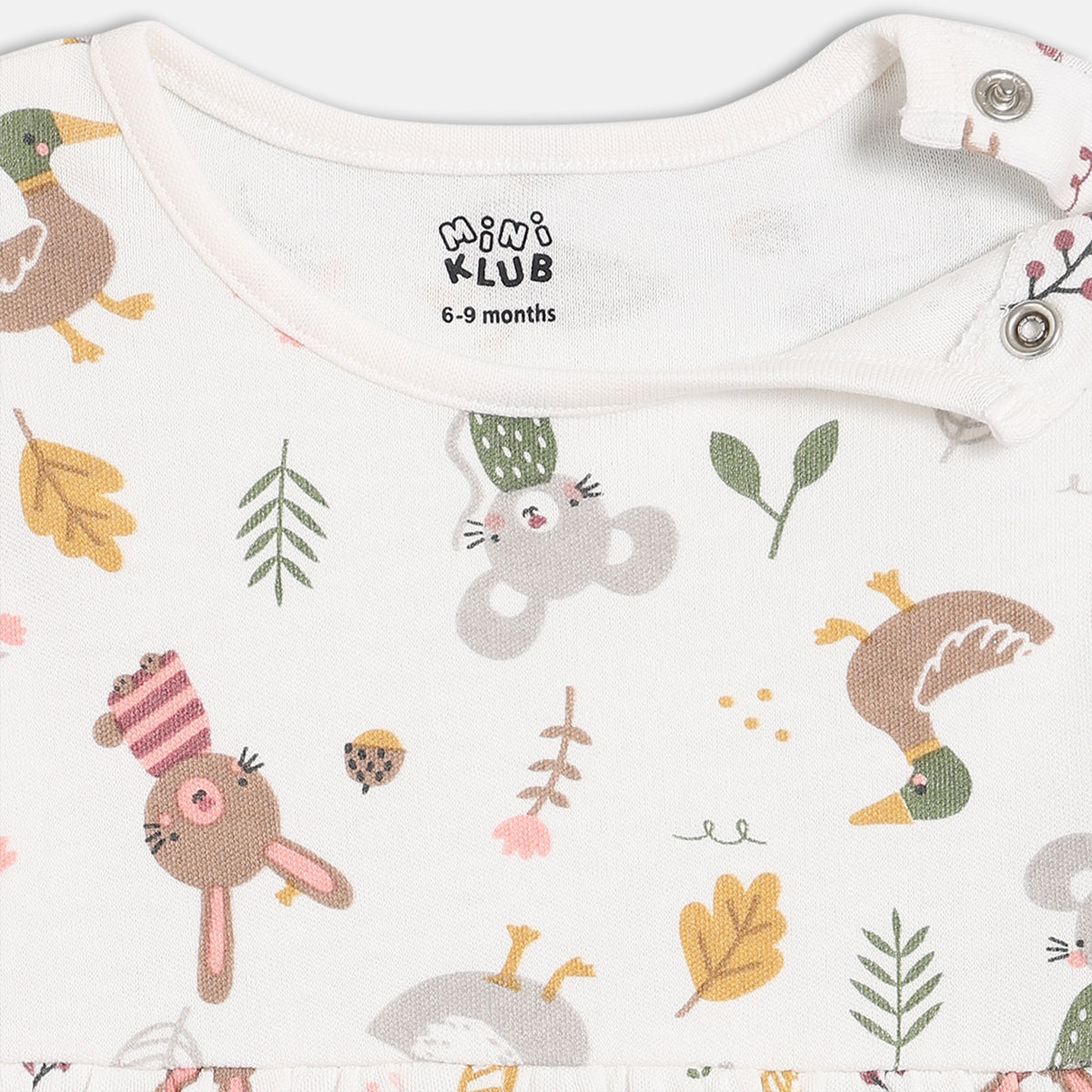 Girls Pack Of 2 Round Neck Full Sleeve Dress - Multi