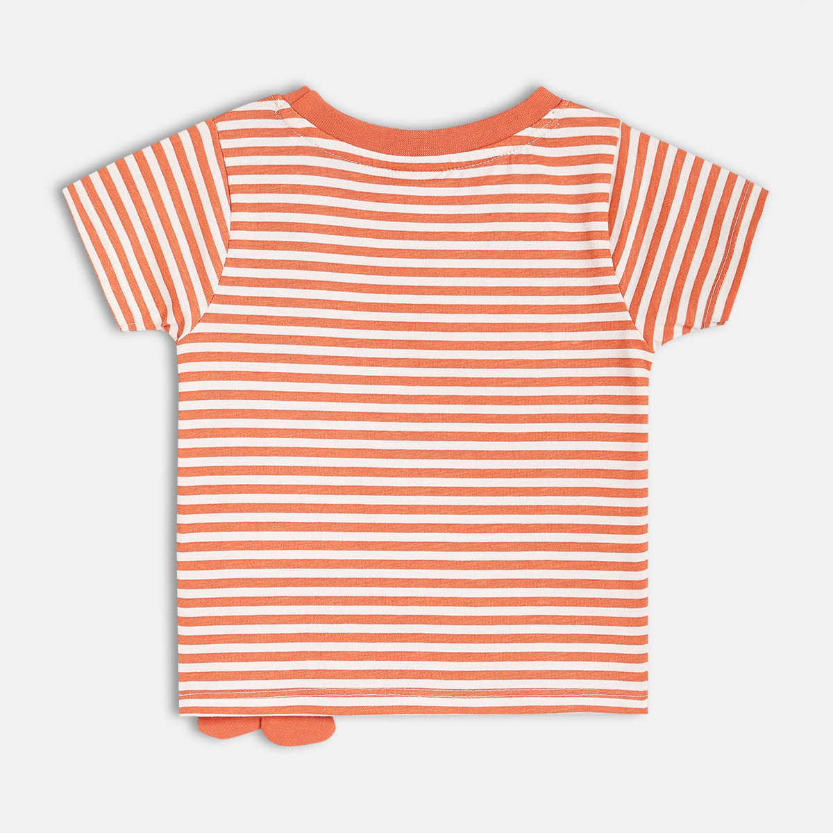 Boys Rust Short Sleeve T-Shirt