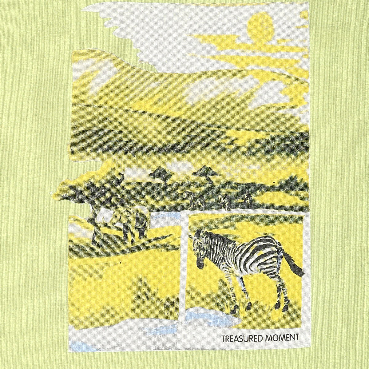 Boys Light Green Short Sleeve T-Shirt