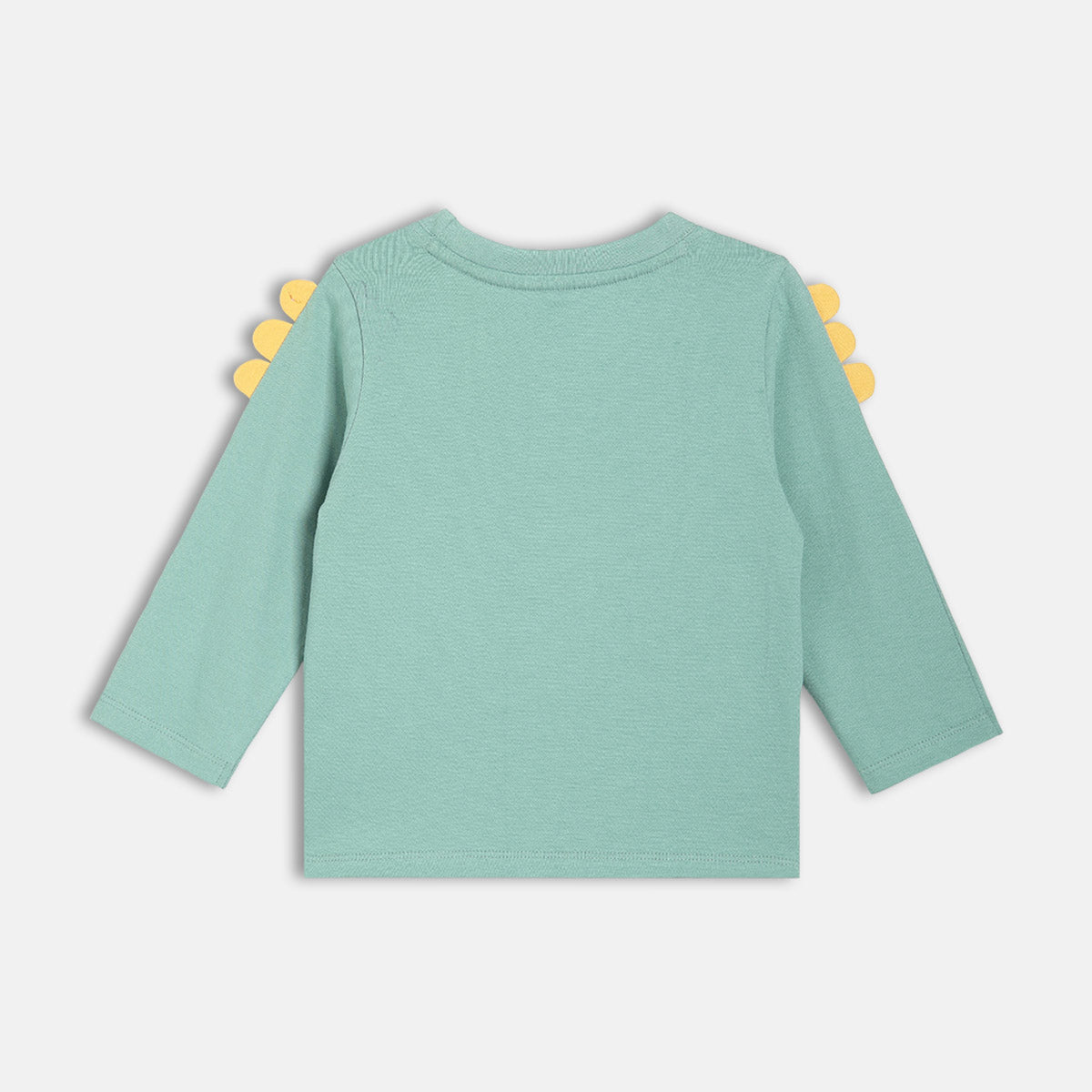 Boys Cotton Full Sleeves Text Printed Tee - Green