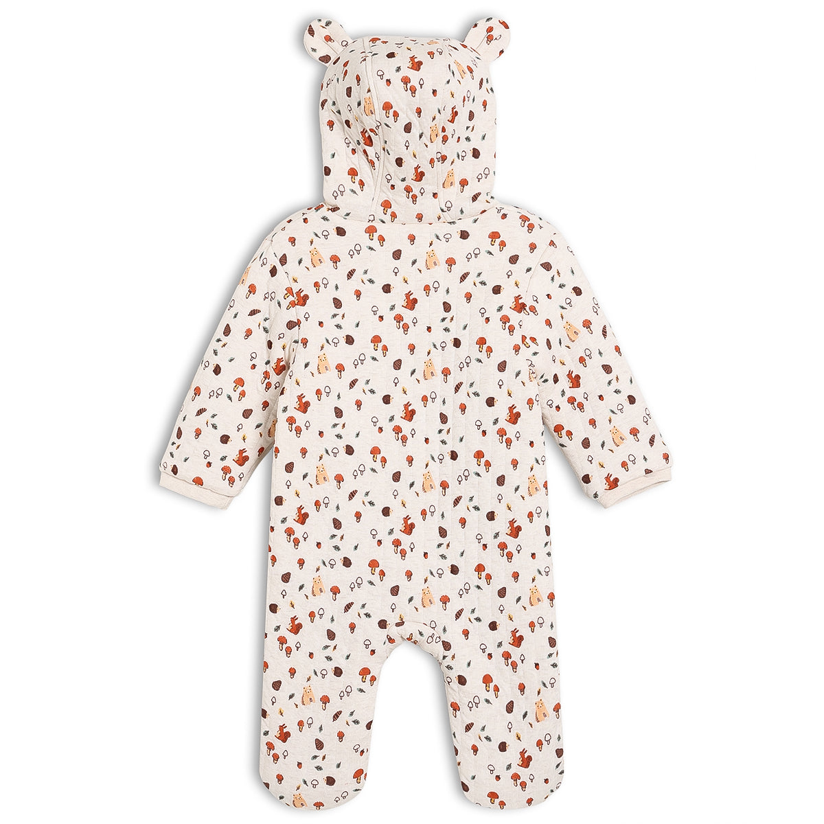Baby Unisex Novelty Printed Pram Suit, Multicolour