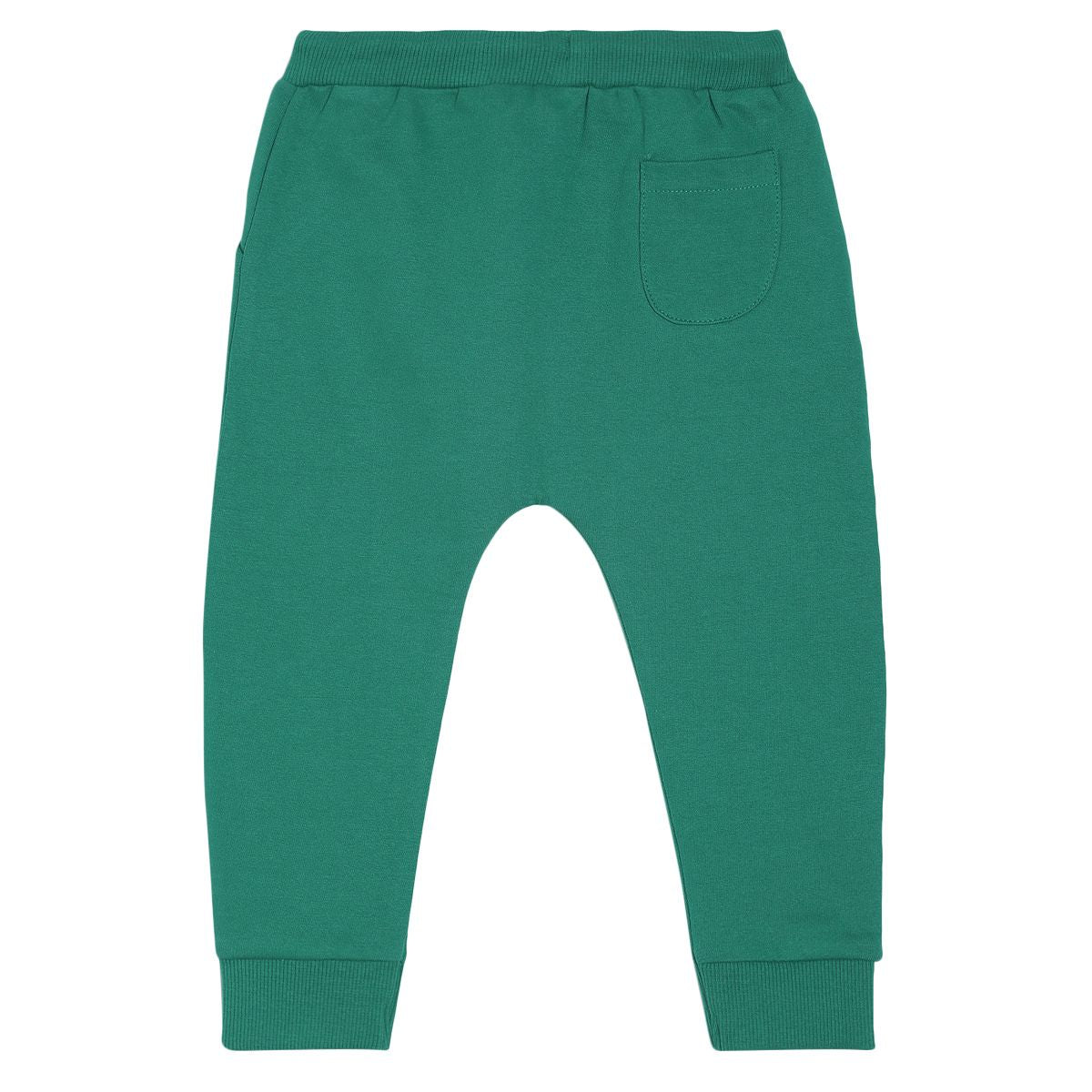 Pack of 1 jogger - green for 3-6 Months