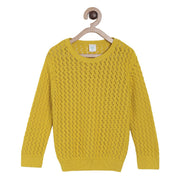 Pack of 1 sweater - yellow for 3-6 Months