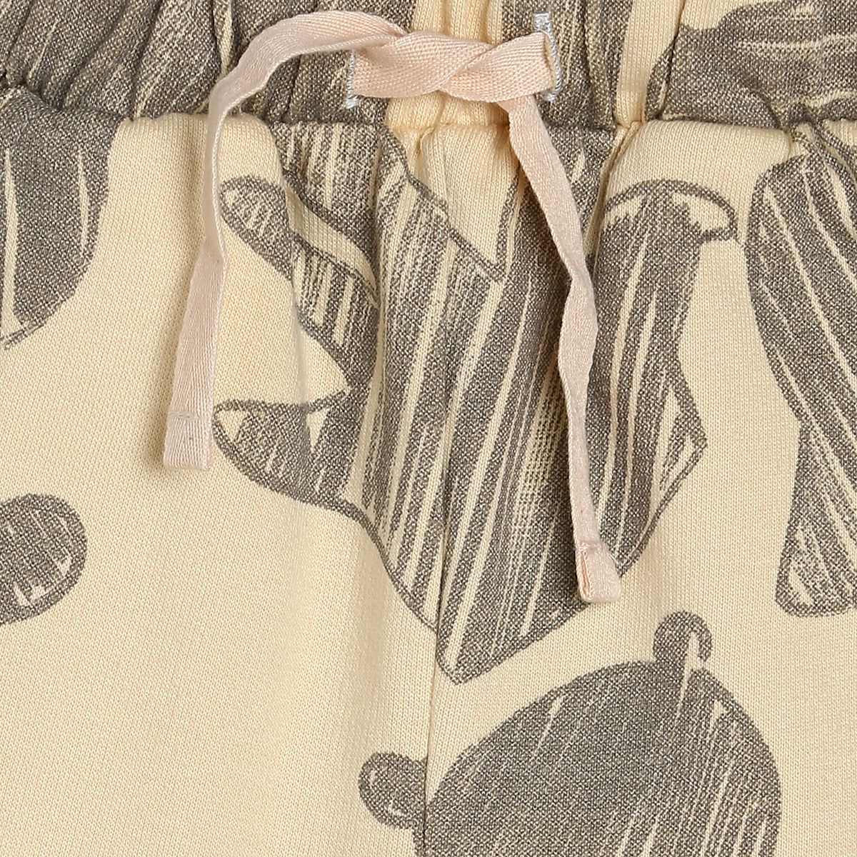 Boys Green Pack Of 1 Jogger