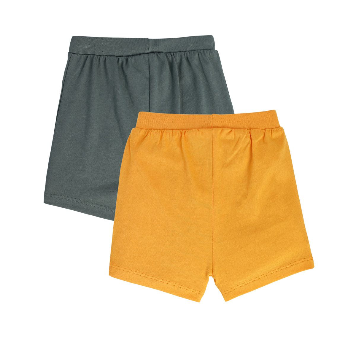 Boys Multicolor Pack Of 2 Shorts