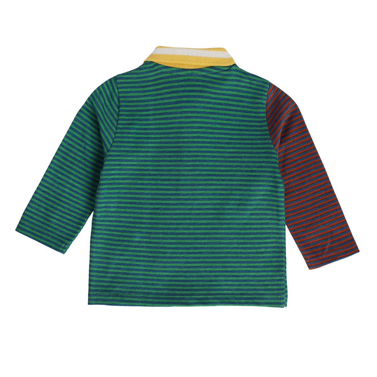 Boys Multicolor Pack Of 1 Polo