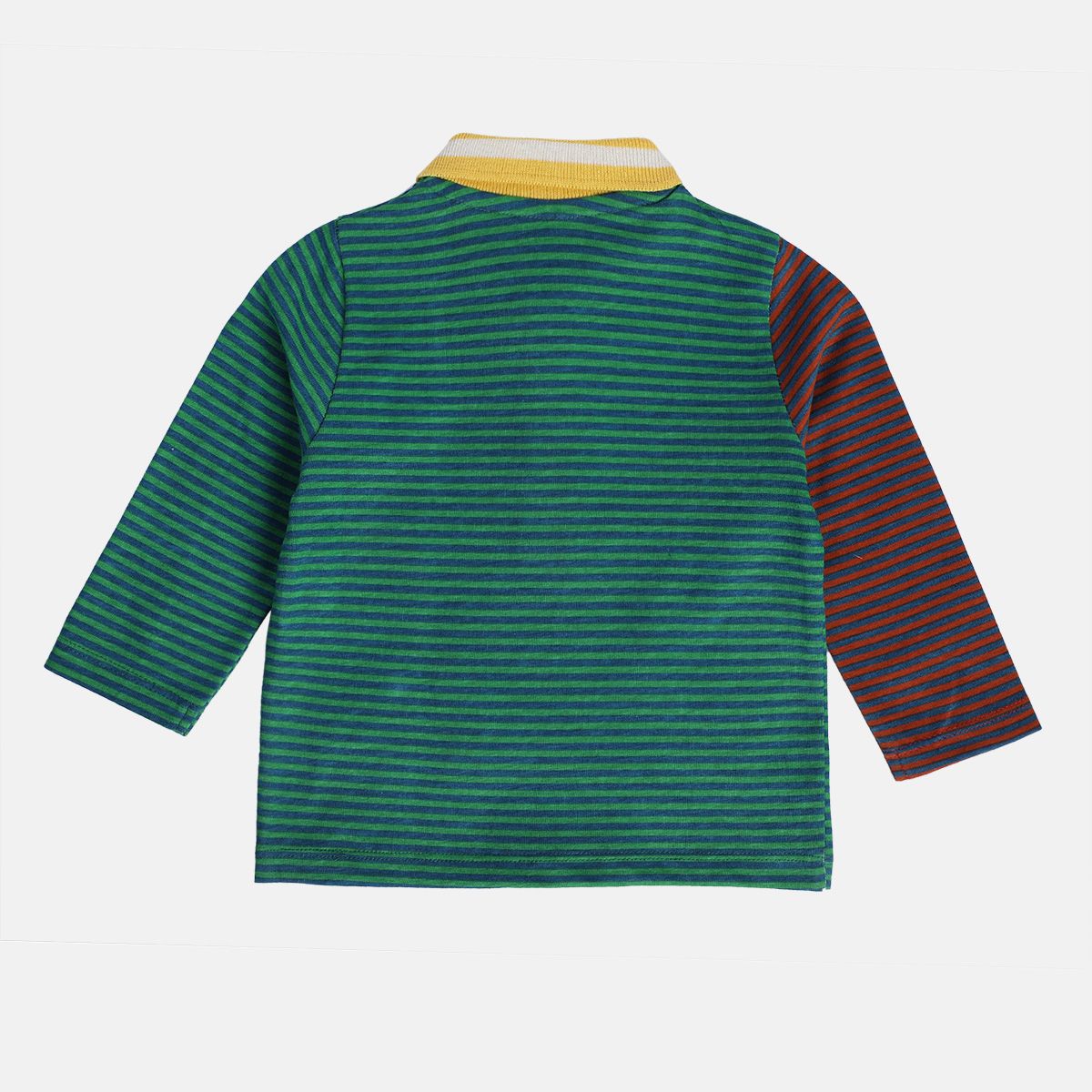 Boys Multicolor Pack Of 1 Polo