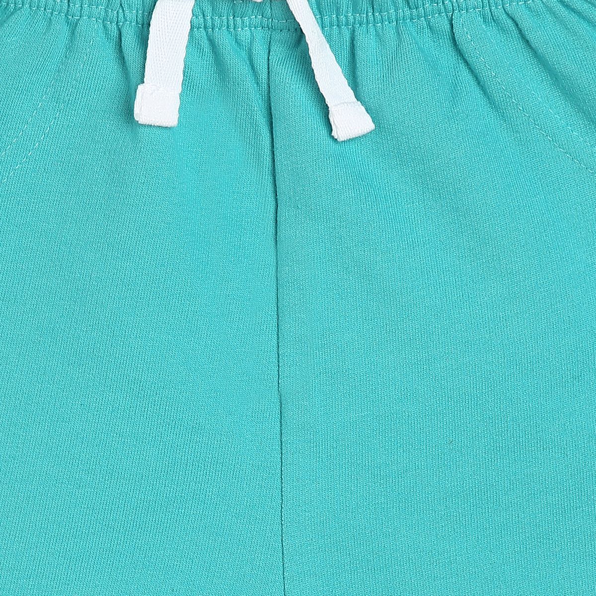 Boys Green Pack Of 1 Shorts