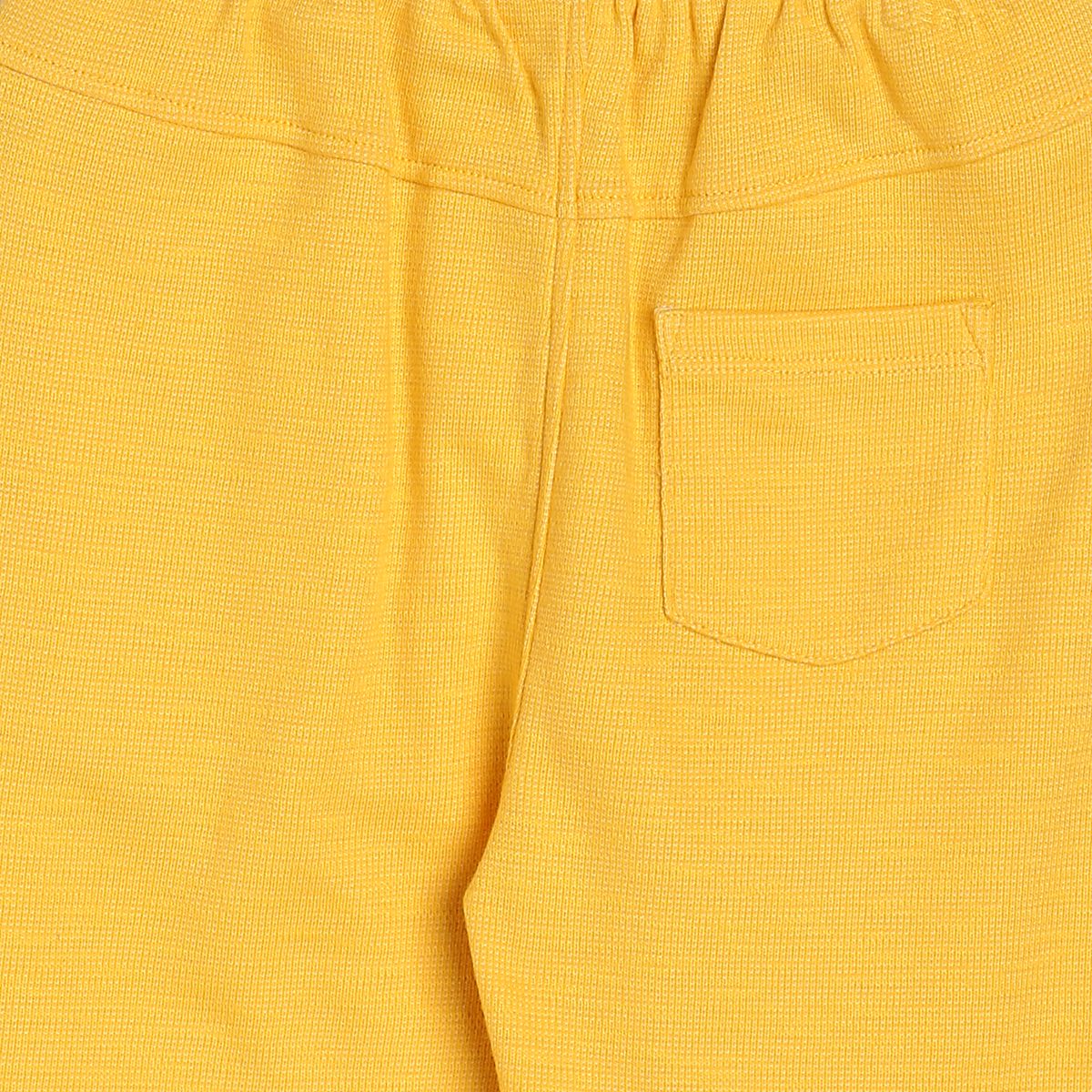 Boys Yellow Pack Of 1 Jogger