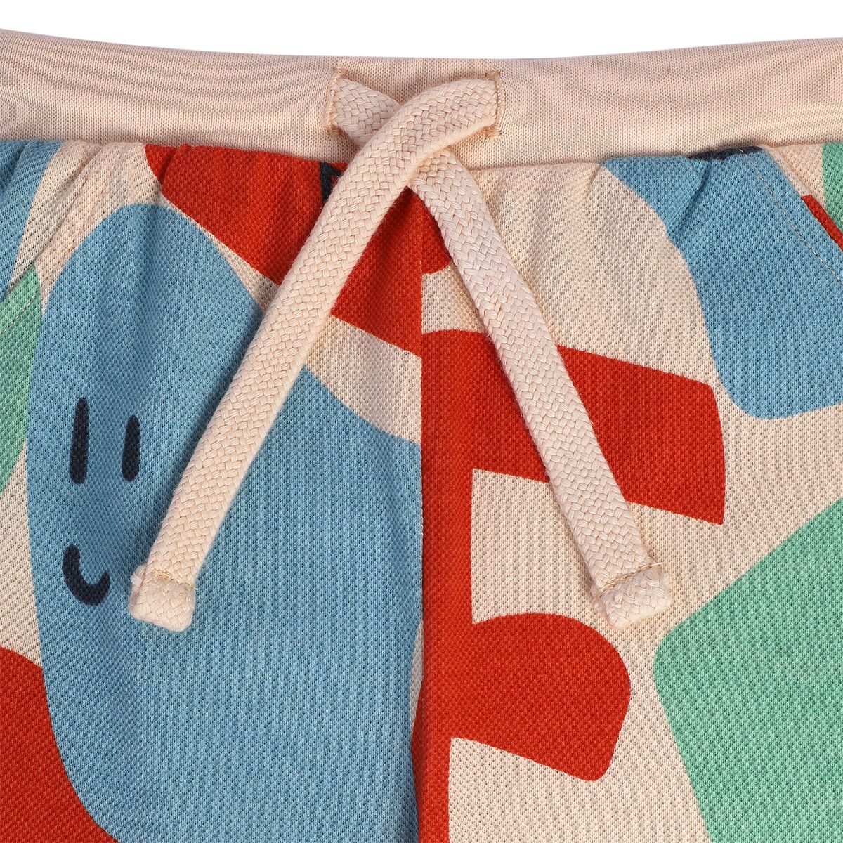 Boys Multicolor Pack Of 1 Knit Bottom