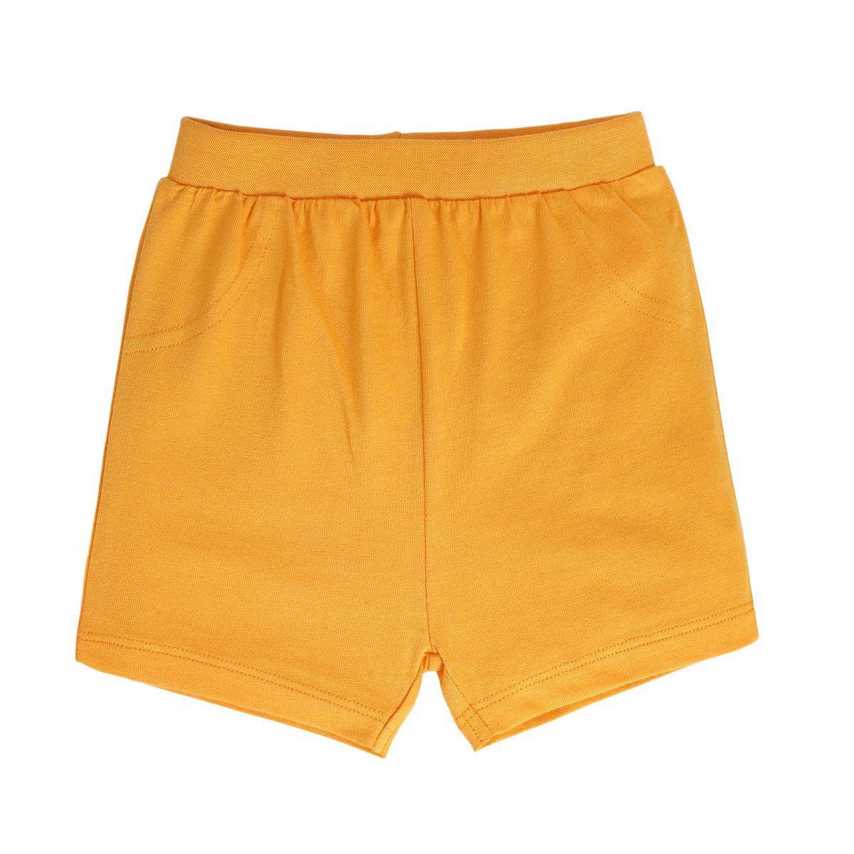 Boys Multicolor Pack Of 2 Shorts