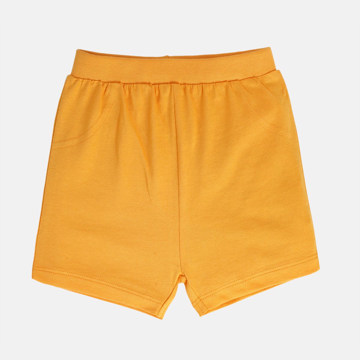 Boys Multicolor Pack Of 2 Shorts