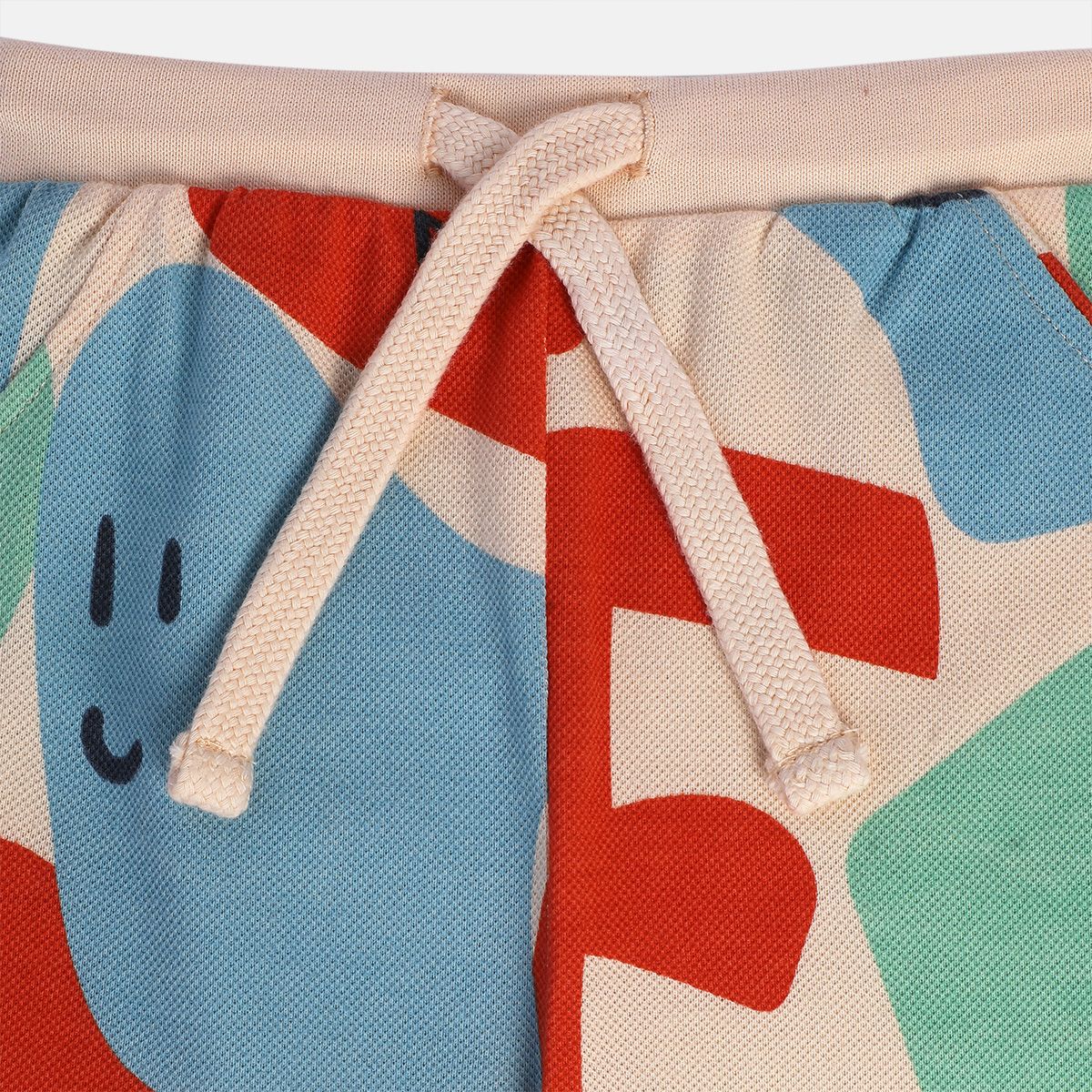 Boys Multicolor Pack Of 1 Knit Bottom