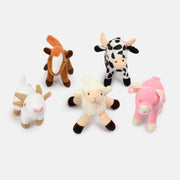 Unisex Multicolor   Ready Gift