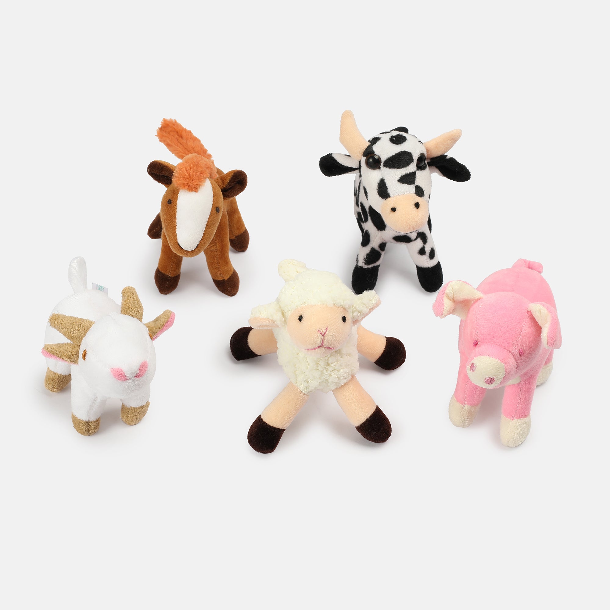 Unisex Multicolor   Ready Gift