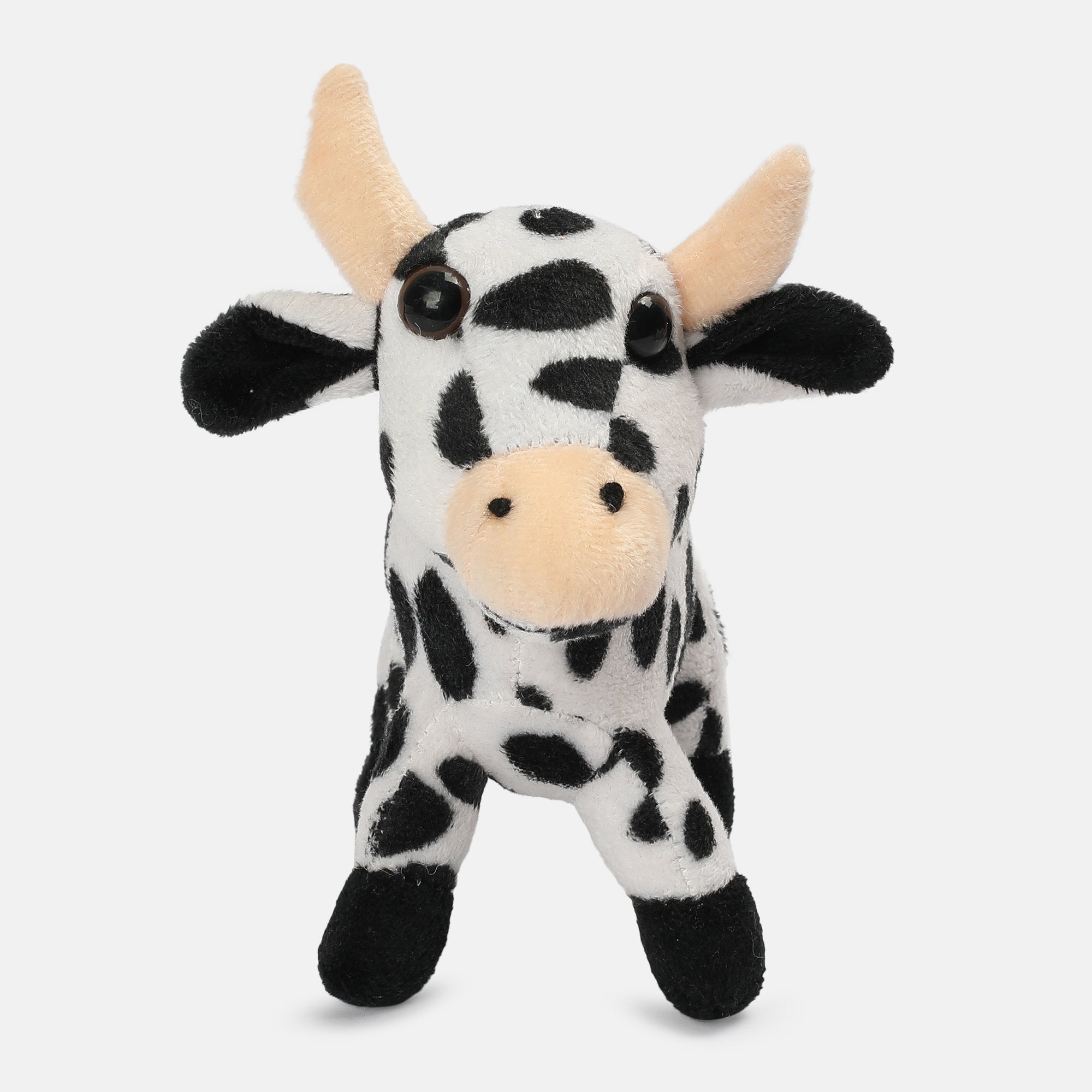 Unisex Multicolor   Ready Gift