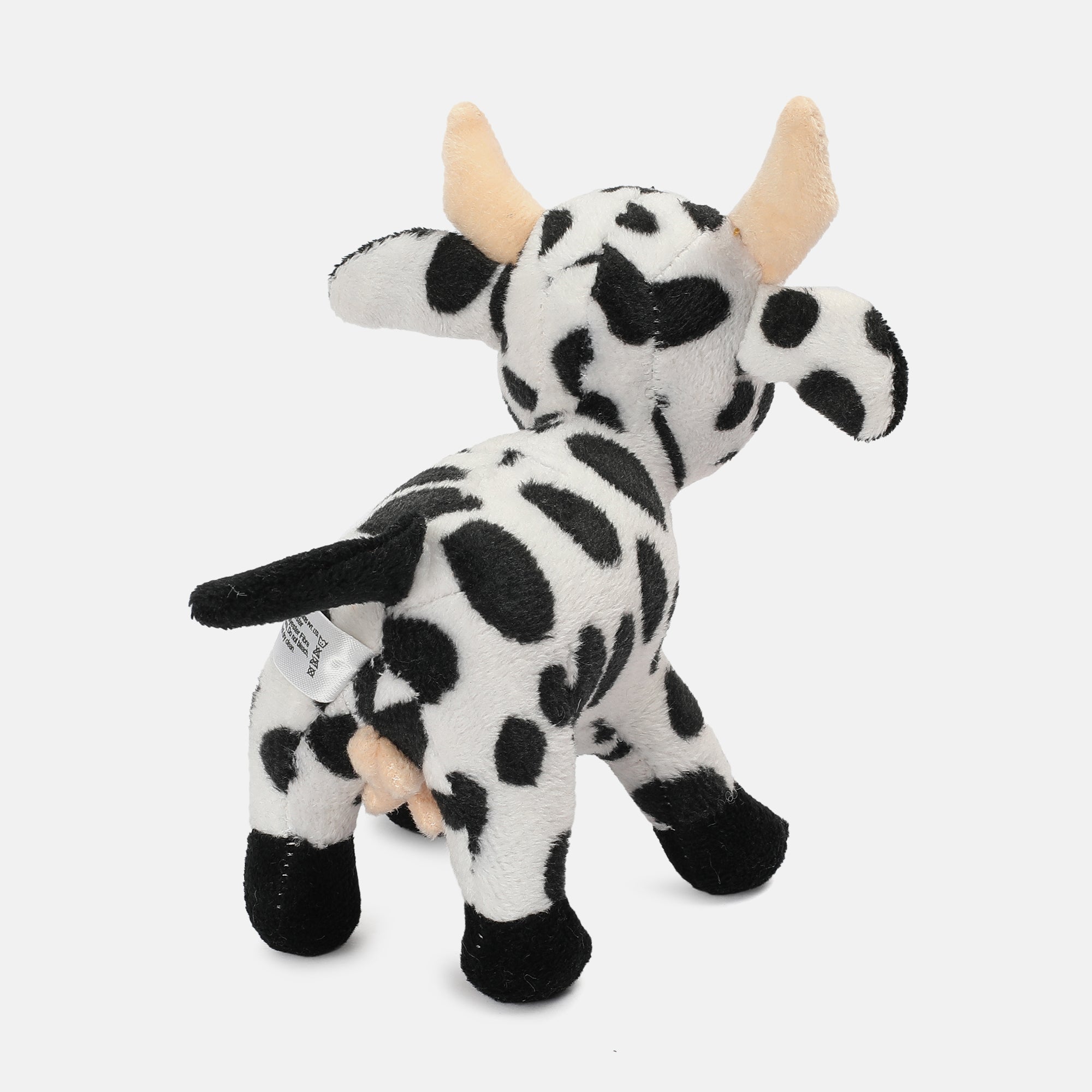 Unisex Multicolor   Ready Gift