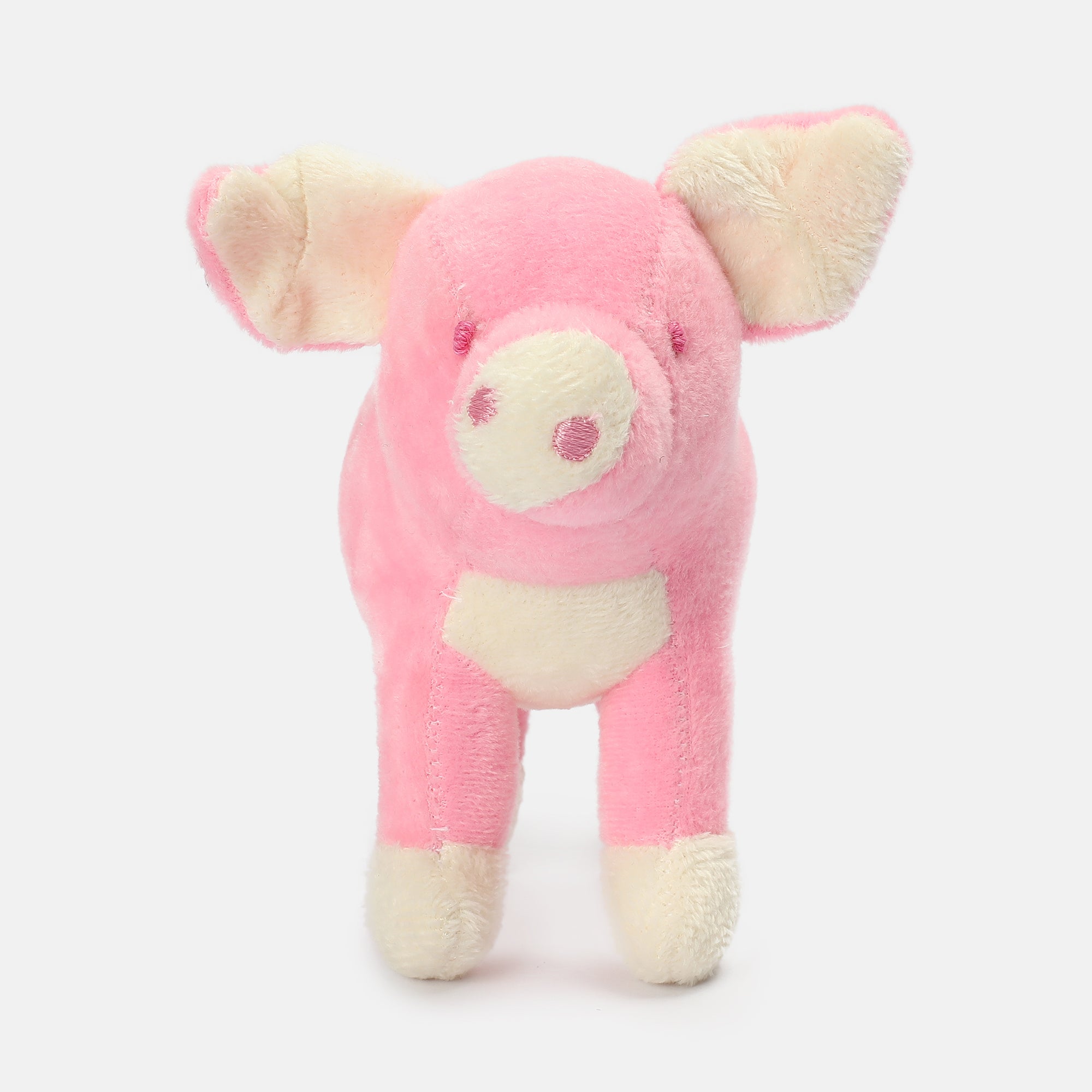 Unisex Multicolor   Ready Gift