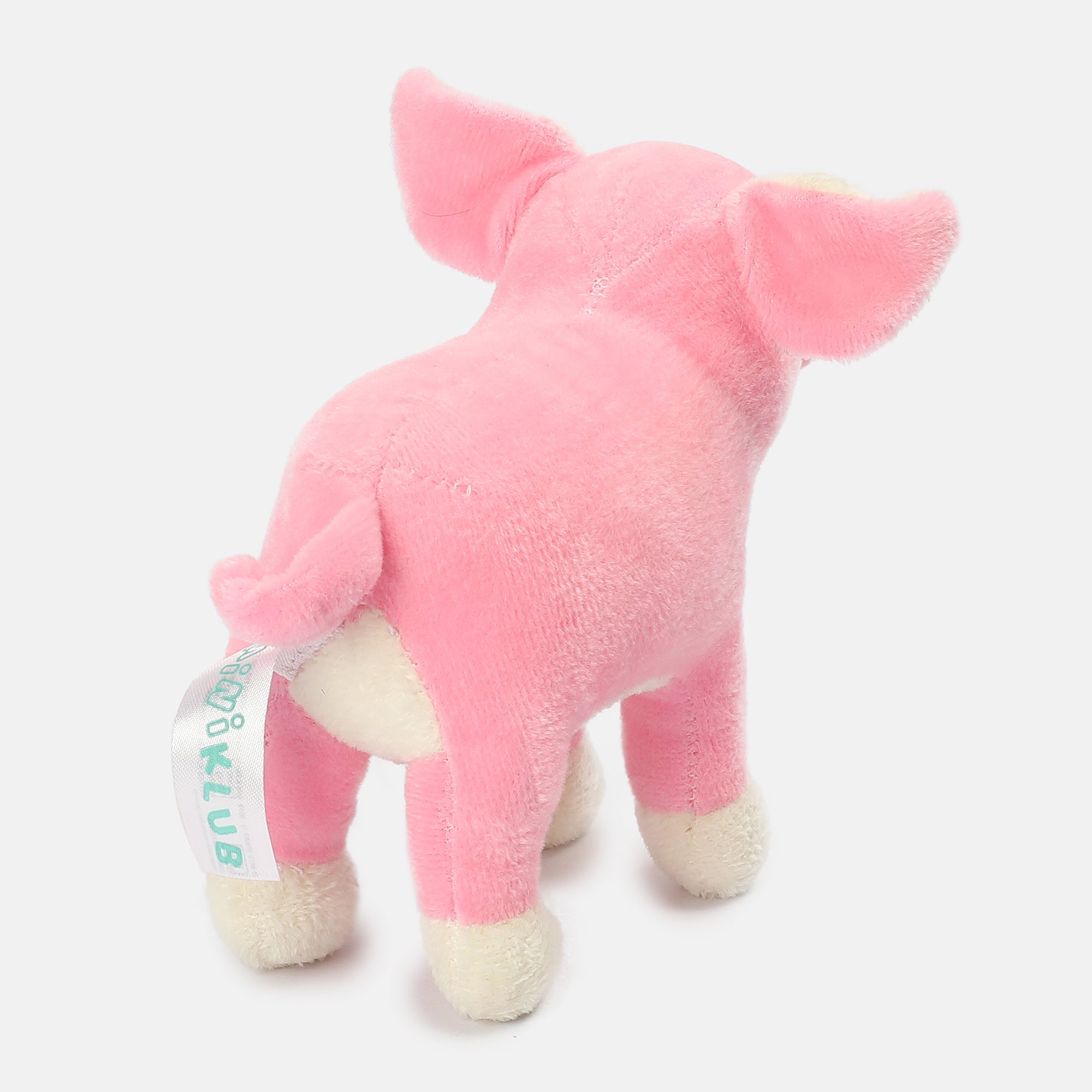 Unisex Multicolor   Ready Gift