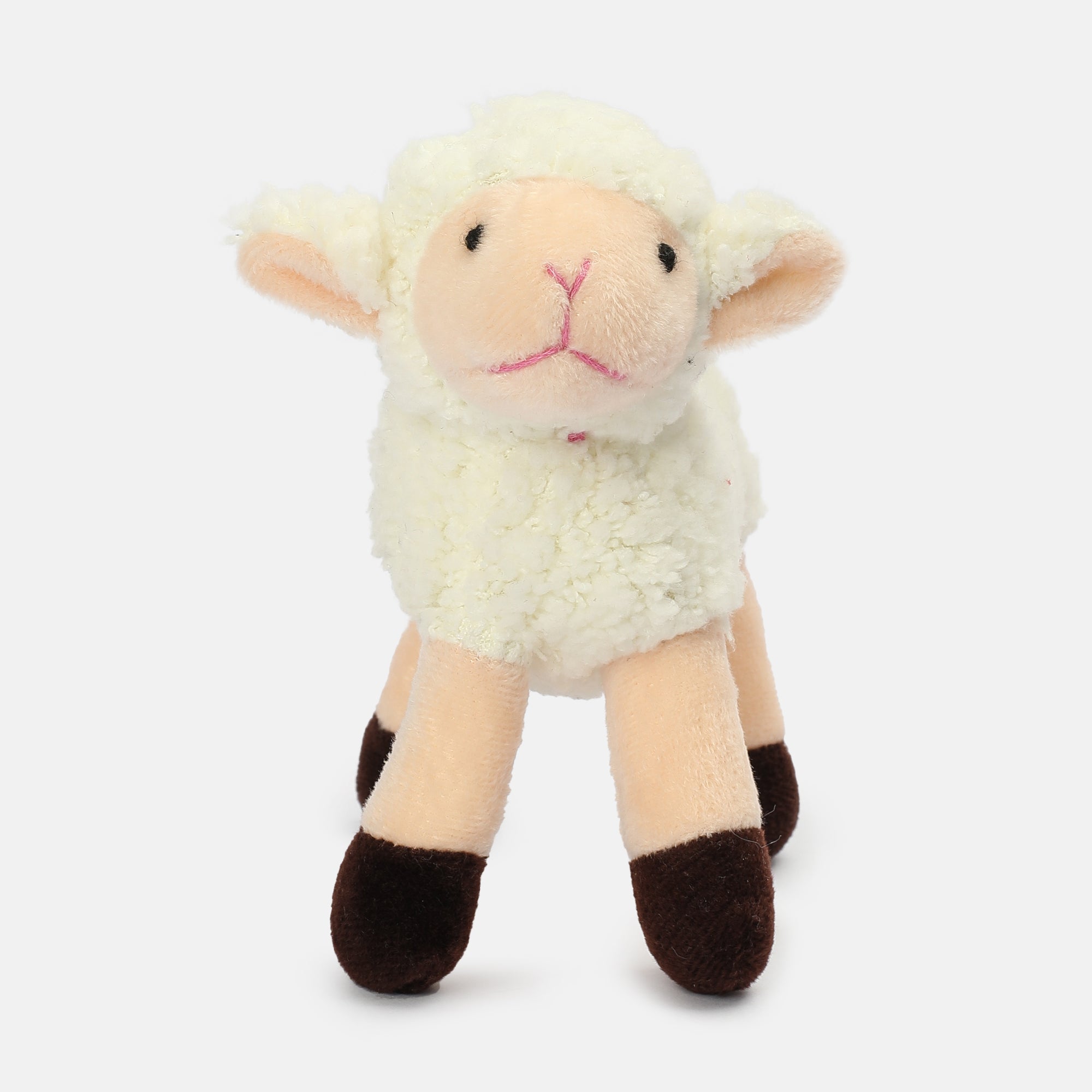 Unisex Multicolor   Ready Gift