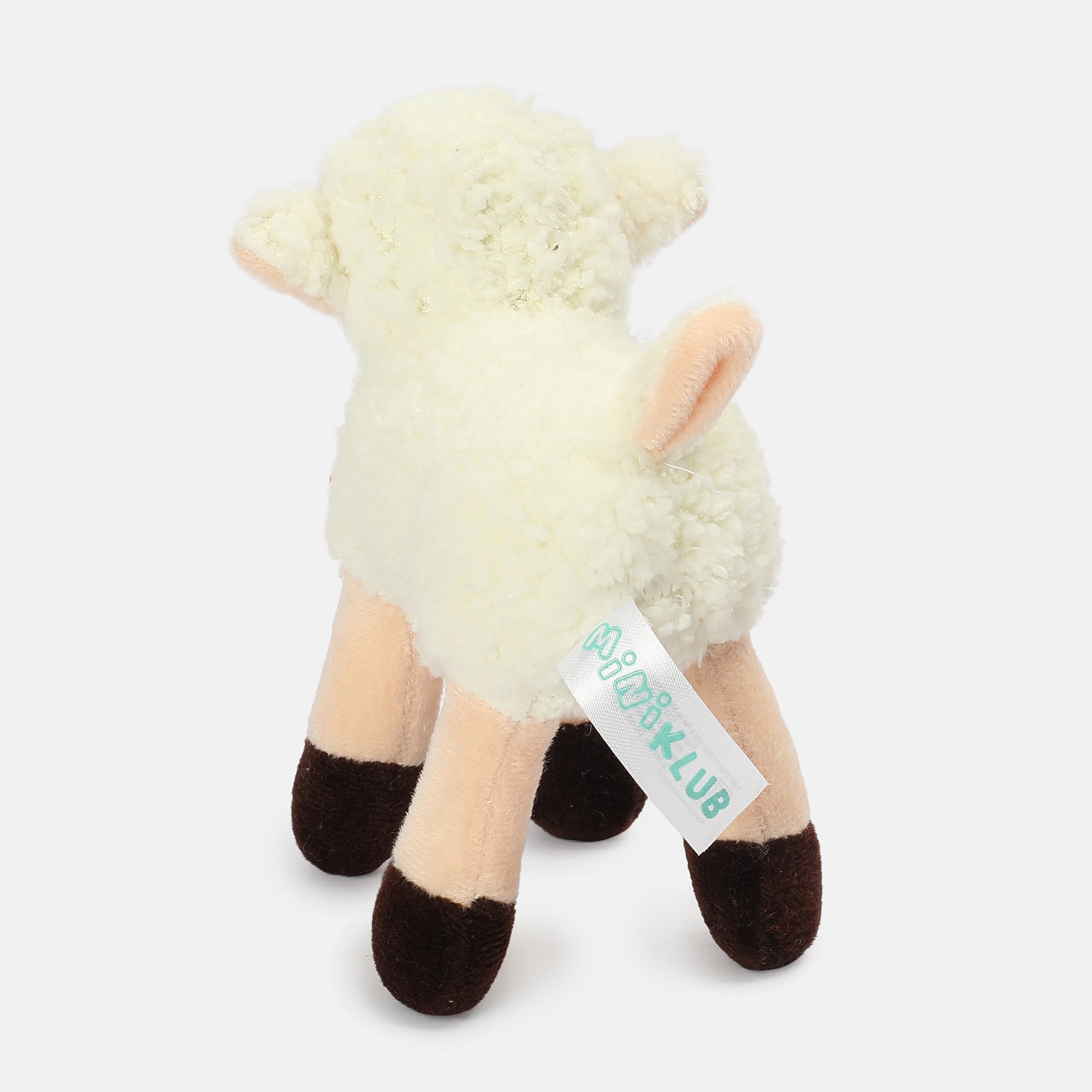 Unisex Multicolor   Ready Gift