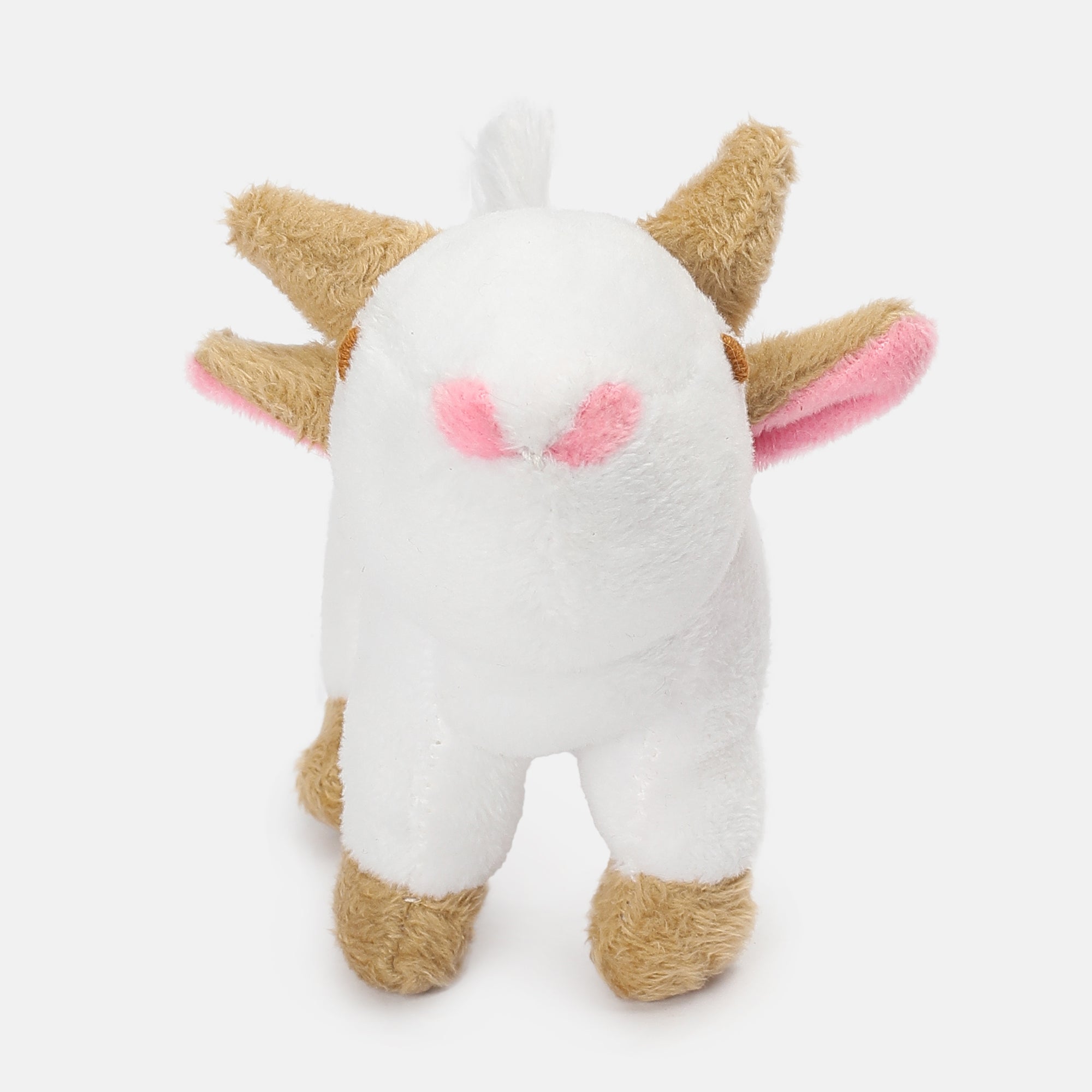 Unisex Multicolor   Ready Gift