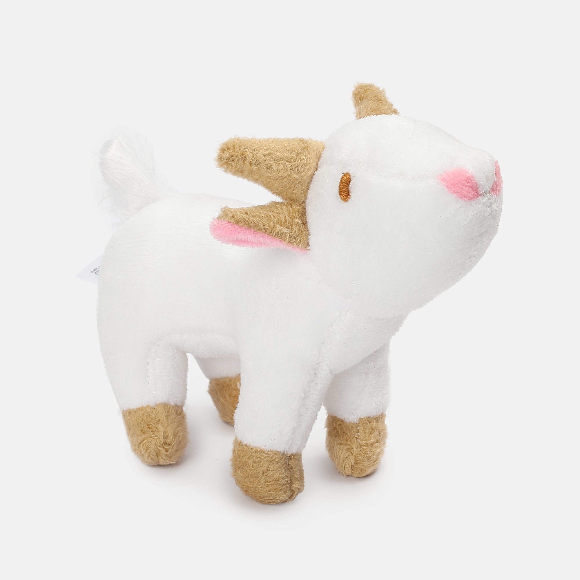 Unisex Multicolor   Ready Gift