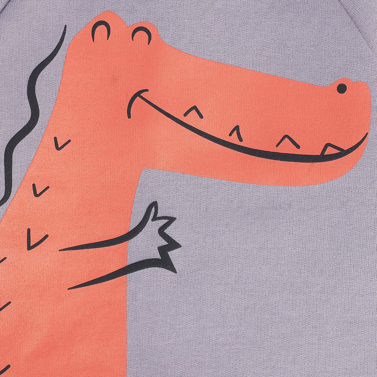 Boys Grey Pack Of 1 Sweat Shirt