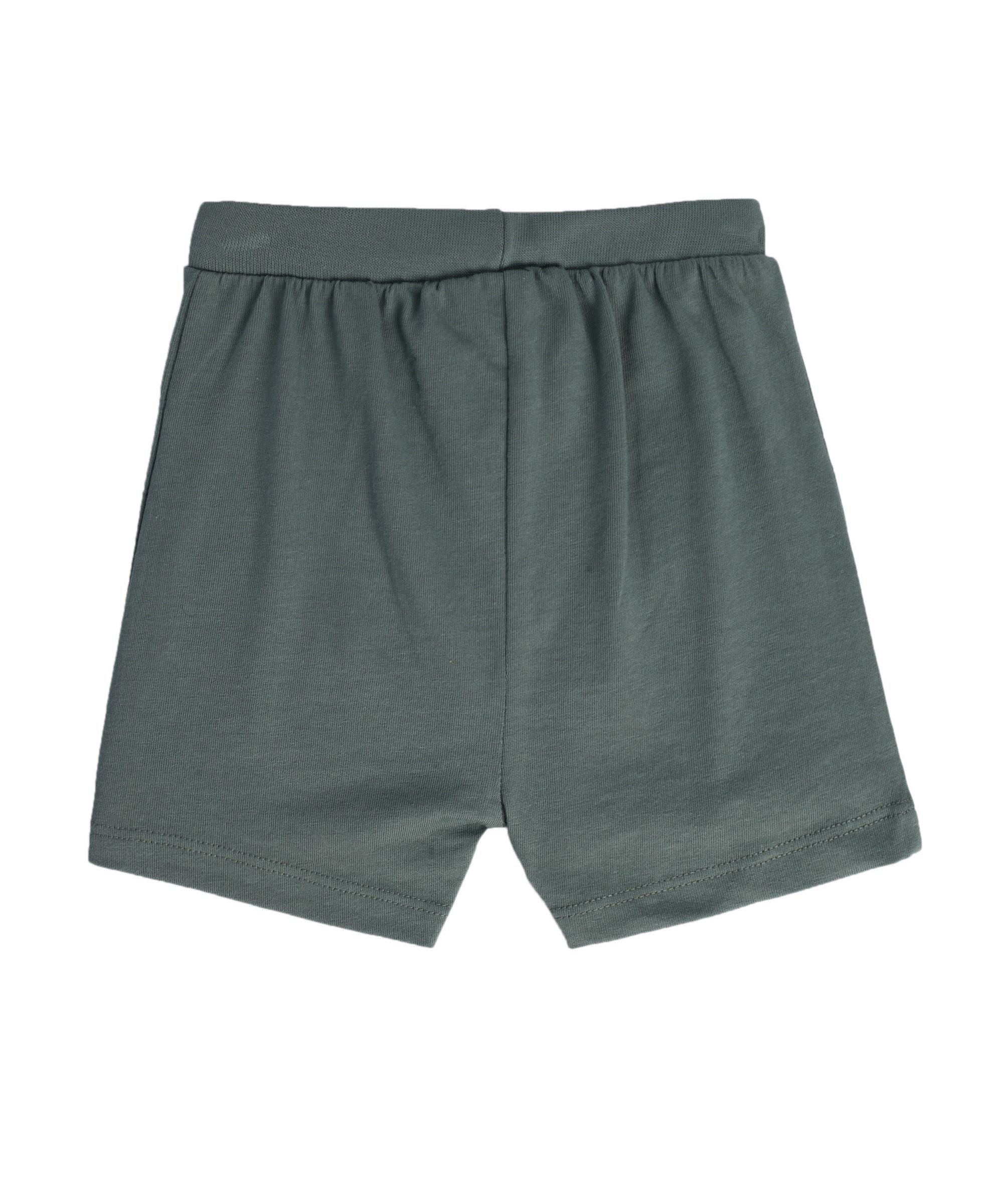 Boys Multicolor Pack Of 2 Shorts