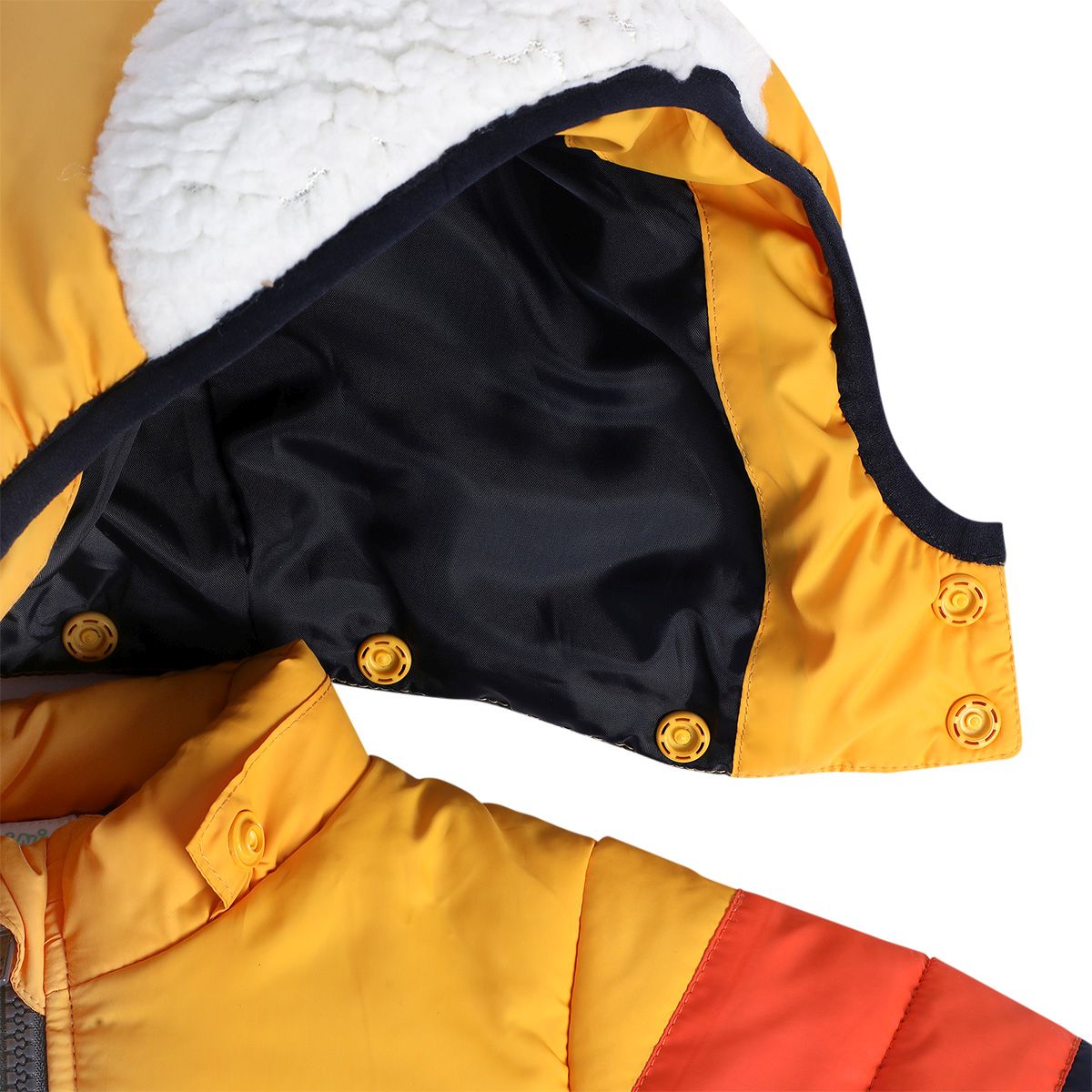 Boys Multicolor Pack Of 1 Jacket